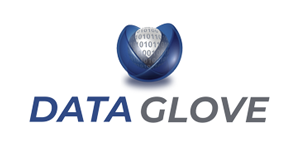 Data Glove
